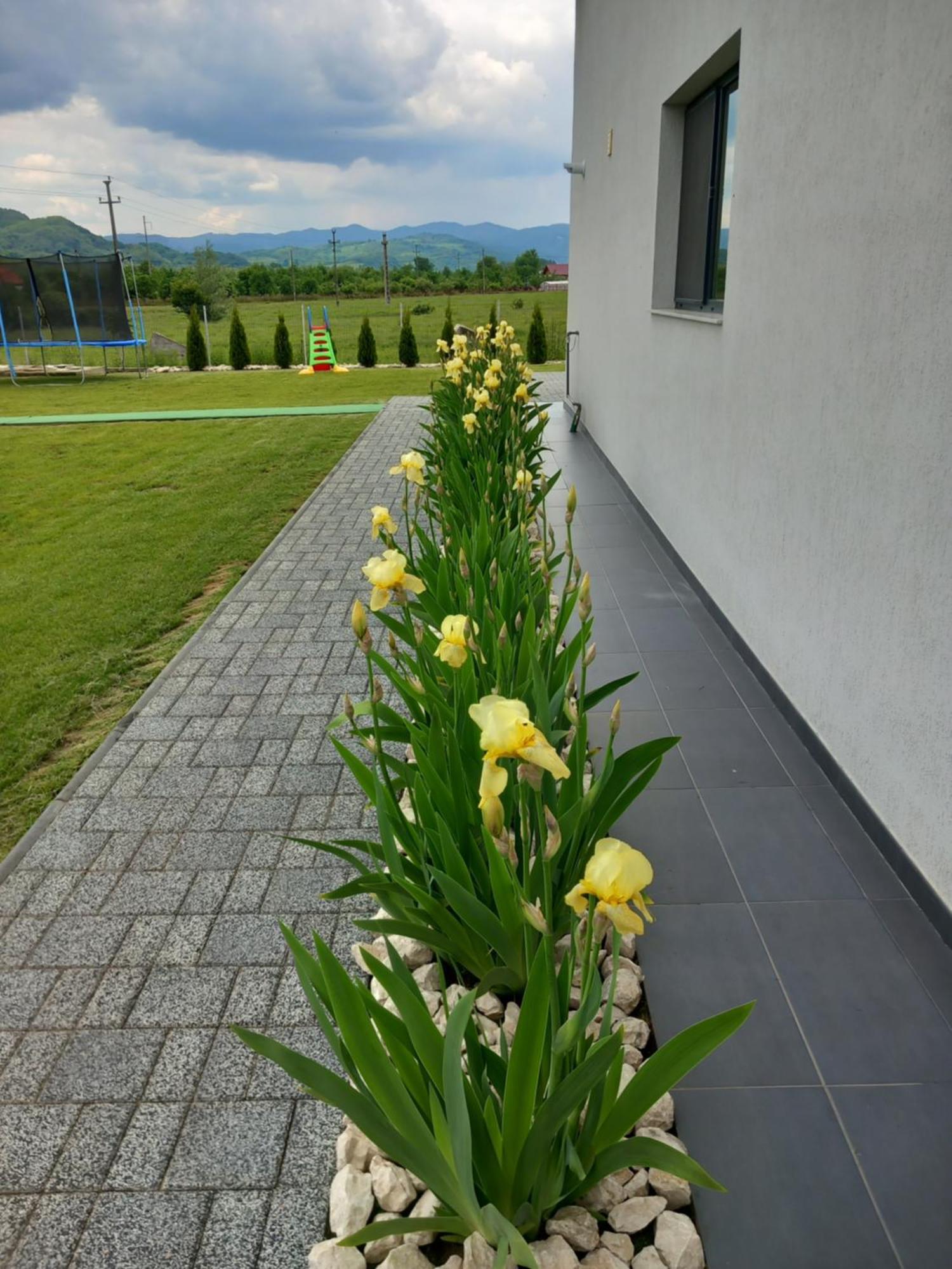 Готель Casa Ambientt Albestii de Arges Екстер'єр фото